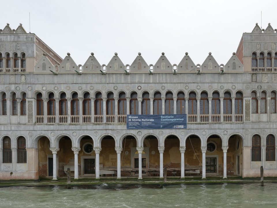 Naturhistorisches Museum von Venedig 1/3